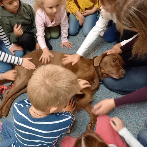 Hundebesuch