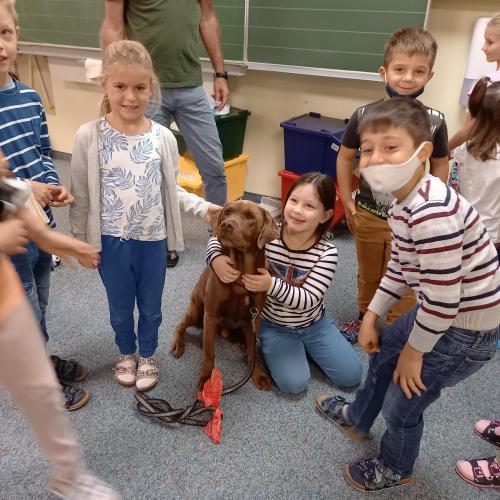 Hundebesuch